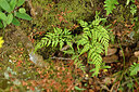 BUITEN BEELD Foto: 442587