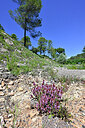 BUITEN BEELD Foto: 442591