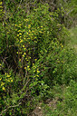 BUITEN BEELD Foto: 442594