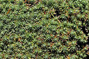 BUITEN BEELD Foto: 442601