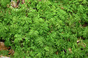 BUITEN BEELD Foto: 442602