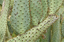 BUITEN BEELD Foto: 442607