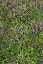 BUITEN BEELD Foto: 442609