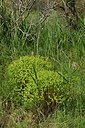 BUITEN BEELD Foto: 442611