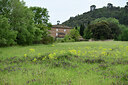 BUITEN BEELD Foto: 442616