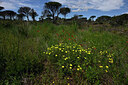 BUITEN BEELD Foto: 442617