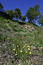 BUITEN BEELD Foto: 442622