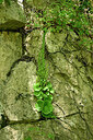 BUITEN BEELD Foto: 442623
