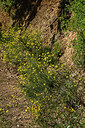 BUITEN BEELD Foto: 442624