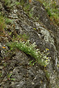 BUITEN BEELD Foto: 442625