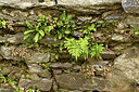 BUITEN BEELD Foto: 442626