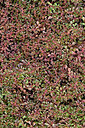 BUITEN BEELD Foto: 442635