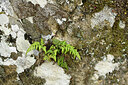 BUITEN BEELD Foto: 442637