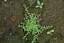 BUITEN BEELD Foto: 442638
