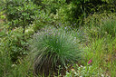 BUITEN BEELD Foto: 442640