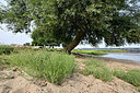 BUITEN BEELD Foto: 442641