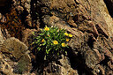 BUITEN BEELD Foto: 442656