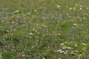 BUITEN BEELD Foto: 442668