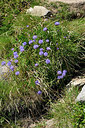BUITEN BEELD Foto: 442672