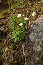 BUITEN BEELD Foto: 442673