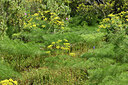 BUITEN BEELD Foto: 442675