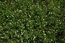 BUITEN BEELD Foto: 442676