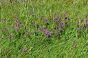 BUITEN BEELD Foto: 442677