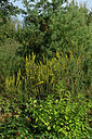 BUITEN BEELD Foto: 442682