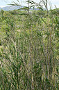 BUITEN BEELD Foto: 442686
