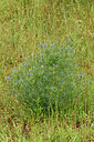 BUITEN BEELD Foto: 442692