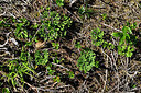 BUITEN BEELD Foto: 442697