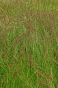 BUITEN BEELD Foto: 442698