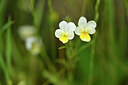 BUITEN BEELD Foto: 442704