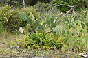 BUITEN BEELD Foto: 442705