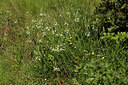BUITEN BEELD Foto: 442706