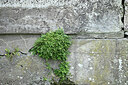 BUITEN BEELD Foto: 442709