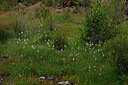 BUITEN BEELD Foto: 442713