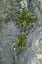 BUITEN BEELD Foto: 442715