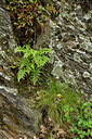 BUITEN BEELD Foto: 442717