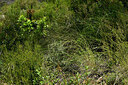 BUITEN BEELD Foto: 442720