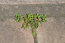 BUITEN BEELD Foto: 442723