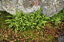 BUITEN BEELD Foto: 442724