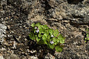 BUITEN BEELD Foto: 442729