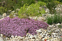 BUITEN BEELD Foto: 442738