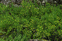BUITEN BEELD Foto: 442743