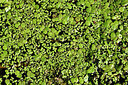 BUITEN BEELD Foto: 442745