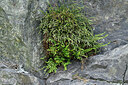 BUITEN BEELD Foto: 442756