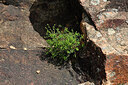 BUITEN BEELD Foto: 442758
