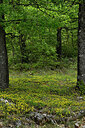 BUITEN BEELD Foto: 442759