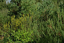 BUITEN BEELD Foto: 442760